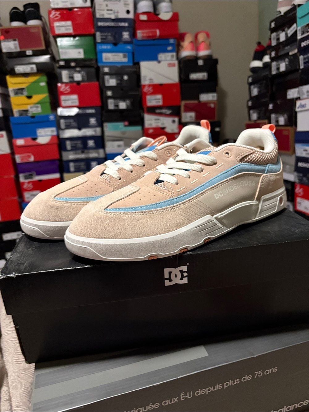 DC Kids Suede Sneakers in Blush with Light Blue Trim